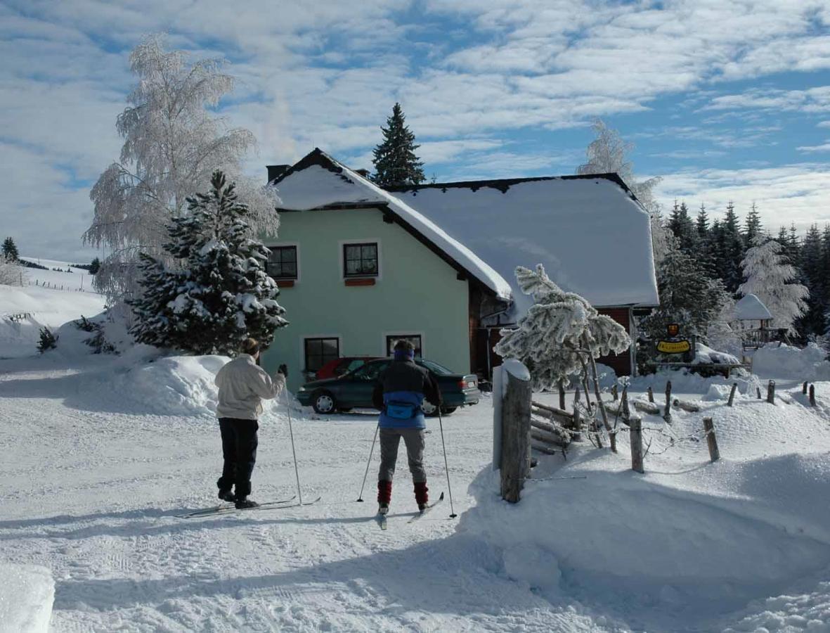 Pension Holzmeister Sankt Kathrein am Offenegg Extérieur photo